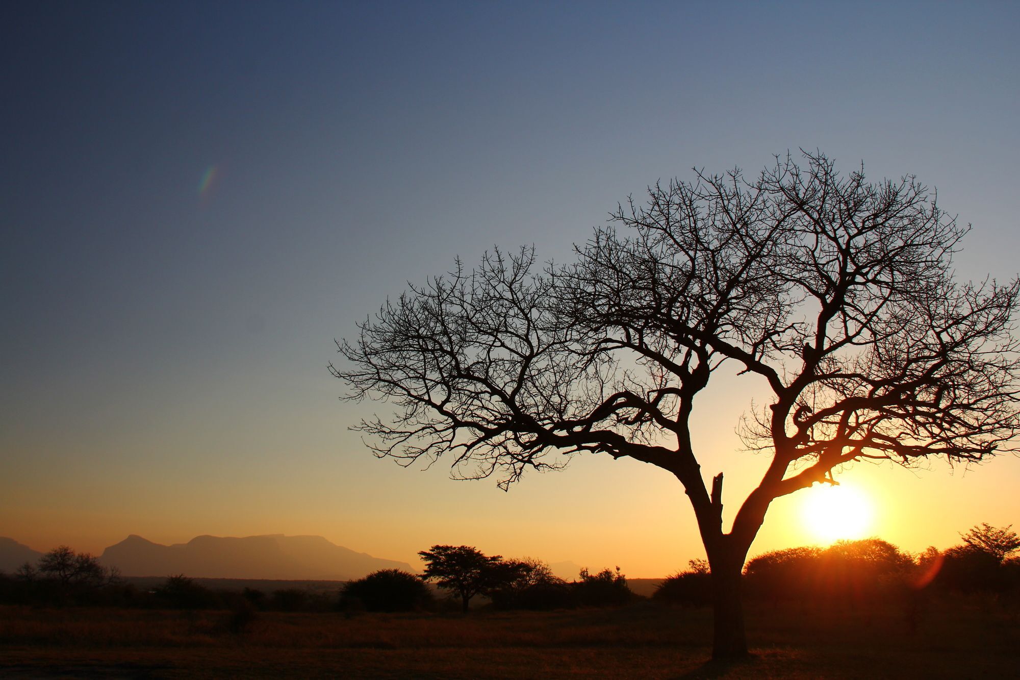 Thornhill Safari Lodge Hoedspruit Exterior foto