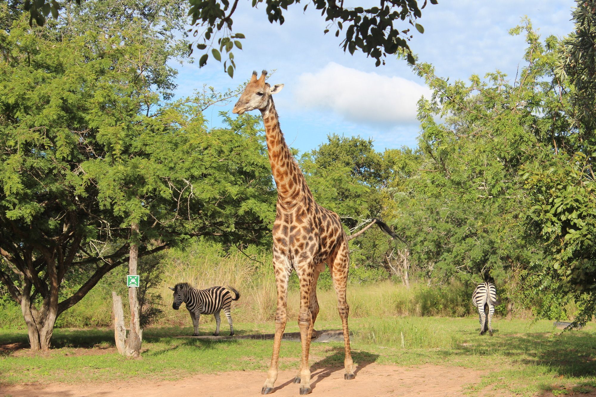 Thornhill Safari Lodge Hoedspruit Exterior foto